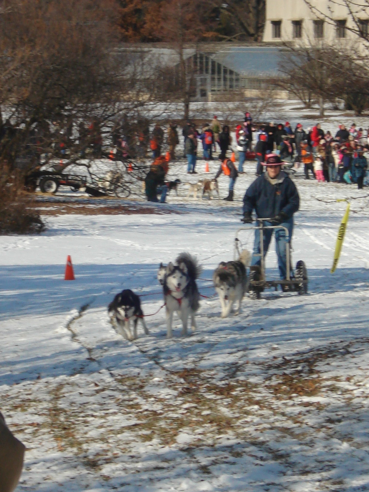 Hitchin’ Up the Huskies at Morton Arboretum Sunday! – TheRoadScholar
