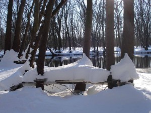 Daniel Wright Woods Forest Preserve and Des Plaines River